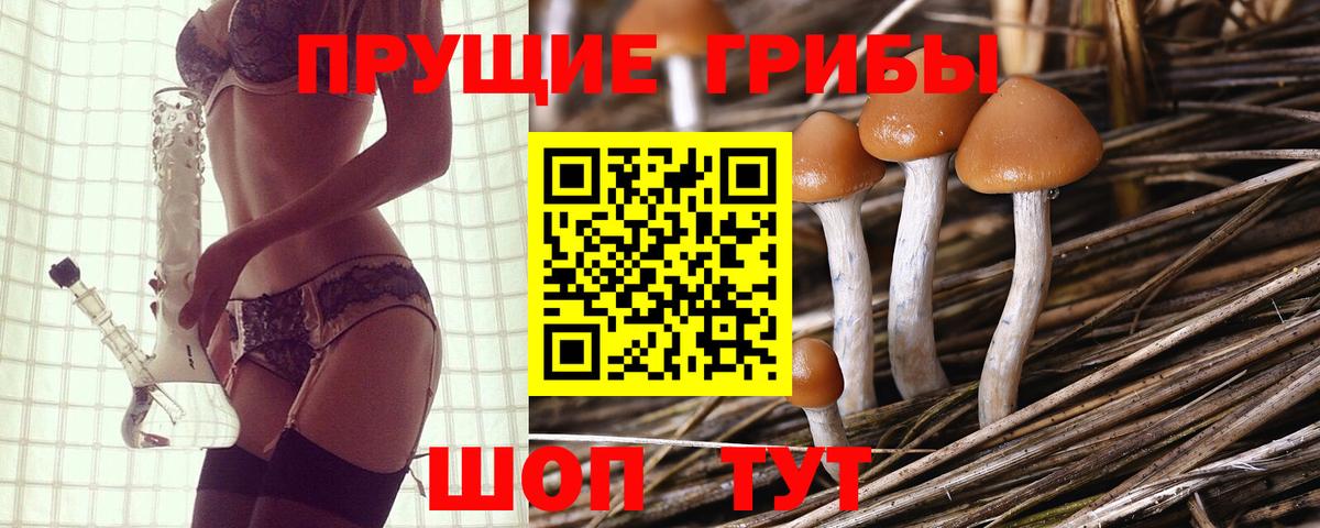 Псилоцибиновые грибы прущие грибы Александров