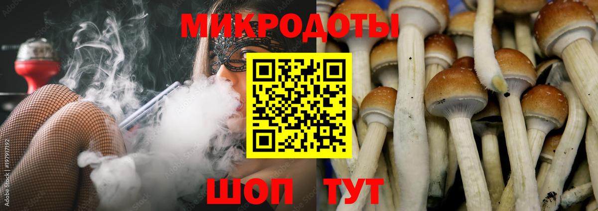 Галлюциногенные грибы Psilocybine cubensis  Вход с VPN  Александров 