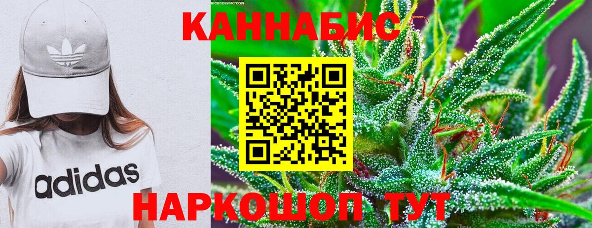 Каннабис планчик  Канабис конопля  Александров  Каннабис индика  Вход с VPN 